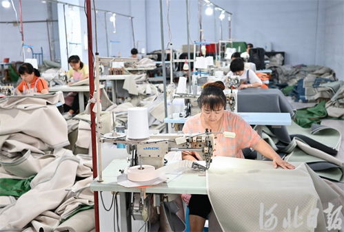 河北深澤 合作共贏促發展，家居用品產業綻放新活力