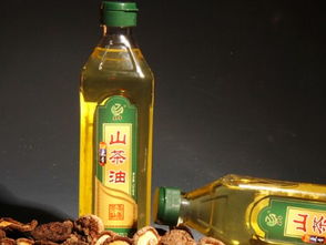 食用油選擇指南 從標簽到搭配，科學選油更健康