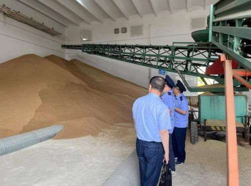 違規(guī)收購糧食被罰10萬元，南京公布一批典型案例加強(qiáng)糧食市場(chǎng)管理